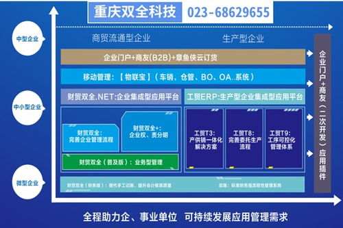 彭水生產型企業管理制度優化與重慶管家婆軟件二次開發實踐